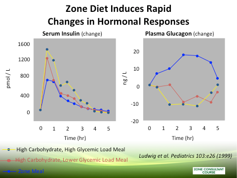 Chart displaying the Zone Diet's effect on hormonal responses